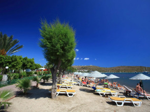 Отель Parkım Ayaz