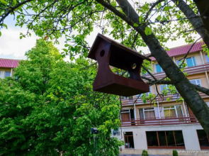 Отель «Кировакан