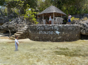 Sea Turtle House