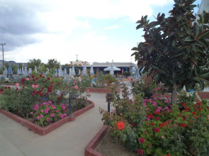 Orion Hotel Faliraki