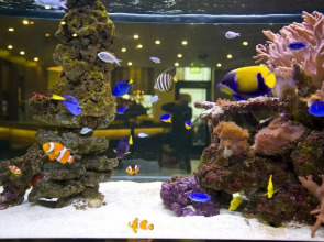 Eden Plaza Kensington