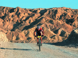 Daroma by Isrotel Collection