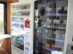 The Hedistar Hotel Narita