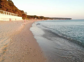 Forest Club (Форест Клаб)