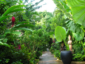 White House Beach Resort And Spa