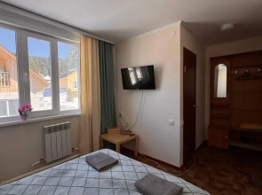 Кедр Золотой