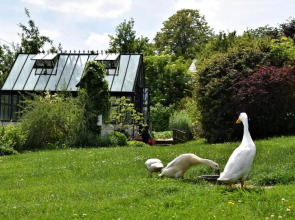 Pension Am Kirschberg