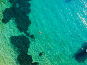 Bodrum Holiday Resort & Spa