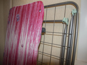 Барбарис на улице Парижской Коммуны 40