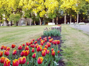 Hotel Garni Goldene Traube