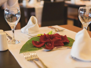 Hotel Riu Playacar - All Inclusive