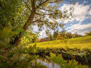 Landhaus Biewald - Hotel & Restaurant