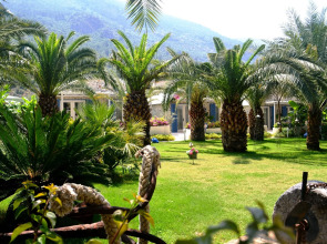 Flamingo Hotel & Spa - Pet Friendly