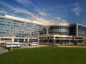 Renaissance by Crystall