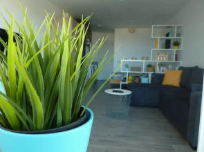 Sunny Apartments 1BDR