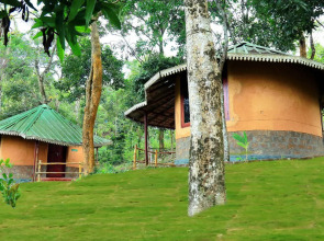 Punarjani Ayurvedic Resorts