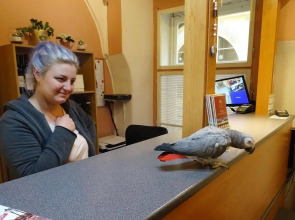 U Dvou Zlatych Klicu