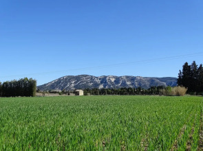 La Louvière des Bruyères