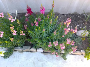 V Gostyah U Natali Guest House