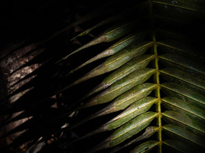 Mango House Seychelles, LXR Hotels & Resorts