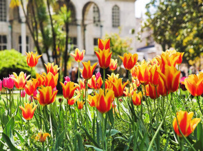 Villa Sphendone Suites