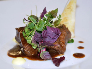 Villa Marcello Giustinian