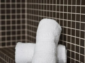 Sercotel Plaza Feria