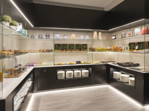 Hotel Elba Madrid Alcalá