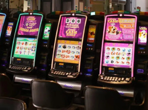 Hotel Dreams Valdivia