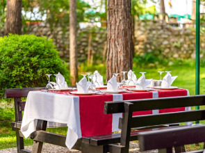 Gypsophila Club Marine