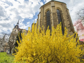 SouthWest Apartments