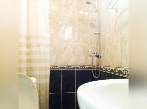 Мини-отель Lelis