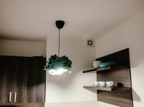 Apartments Zelny Trh I