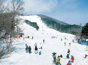 Hotel Premium Green Hills