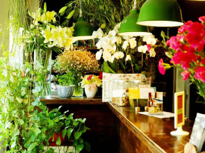 Peking International Youth Hostel