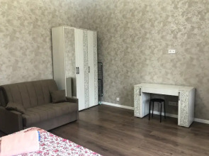 Апартаменты на улице Октябрьской Революции 223