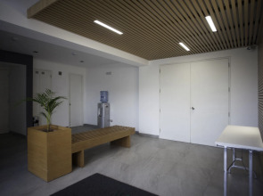 Palmetto Hotel Business San Miguel