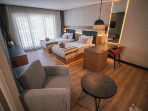 Отель Panagia Premier Trabzon