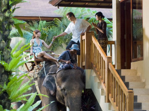 Mason Elephant Lodge