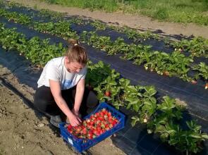 Agriturismo Arte Contadina