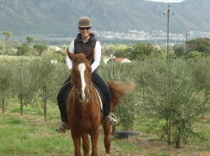 185 on Beach Boutique Suites and Apartments