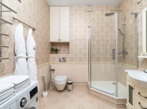 Pushkin Apartments (Пушкин апартаменты)