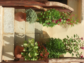 Patriko Traditional Residence