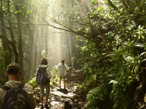 Hotel Rural Victoria