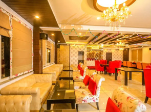 Little Mastiff - Dharamshala