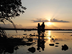 Tiara Homestay Pemuteran