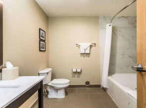 Comfort Inn Detroit Downtown