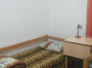 Tiger Hostel