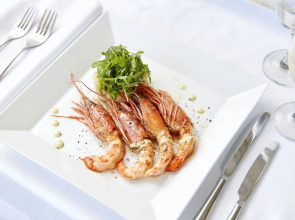 Mon Repos Palace - Adults Only