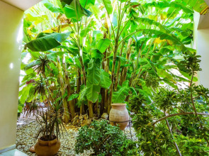 Anais Collection Hotels & Suites